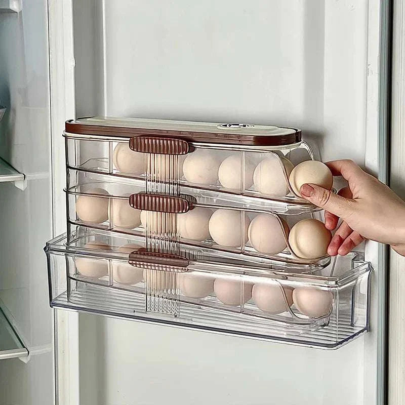 organizer frigo